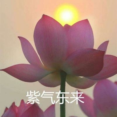安卓变速齿轮免root版(gmd speed time)下载
